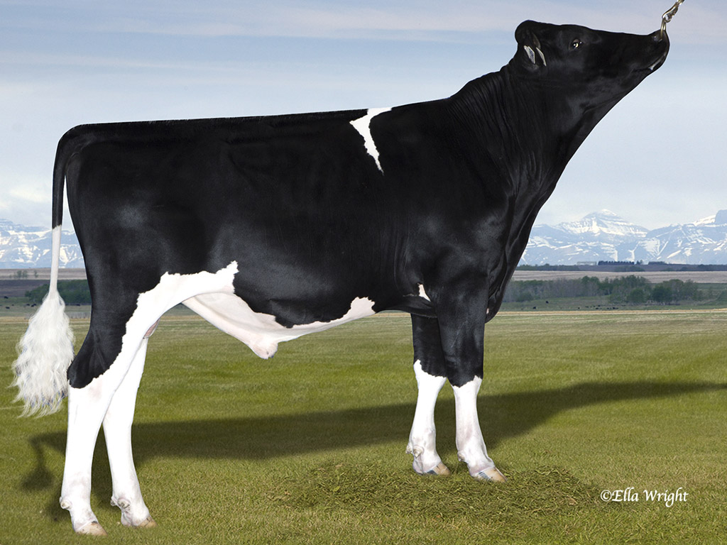 Alta Genetics - AltaREMAND