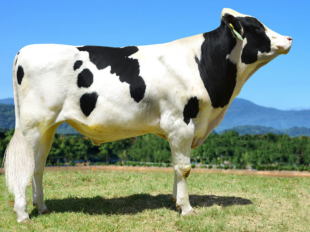 Alta Genetics - AltaNDJFARS